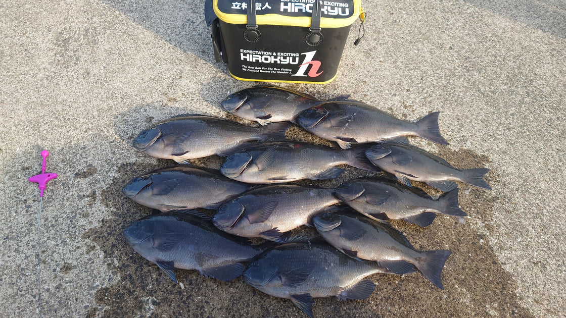 1/8 大瀬戸 大角力 グレ釣り 立林 – 釣りエサの総合メーカー「ヒロキュー」