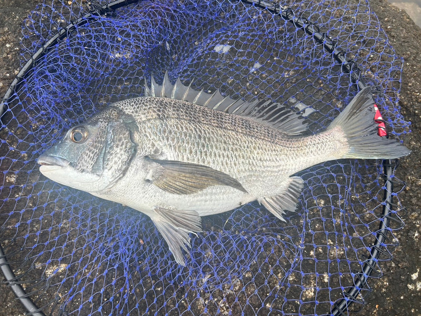 line_oa_chat_240229_141334_120