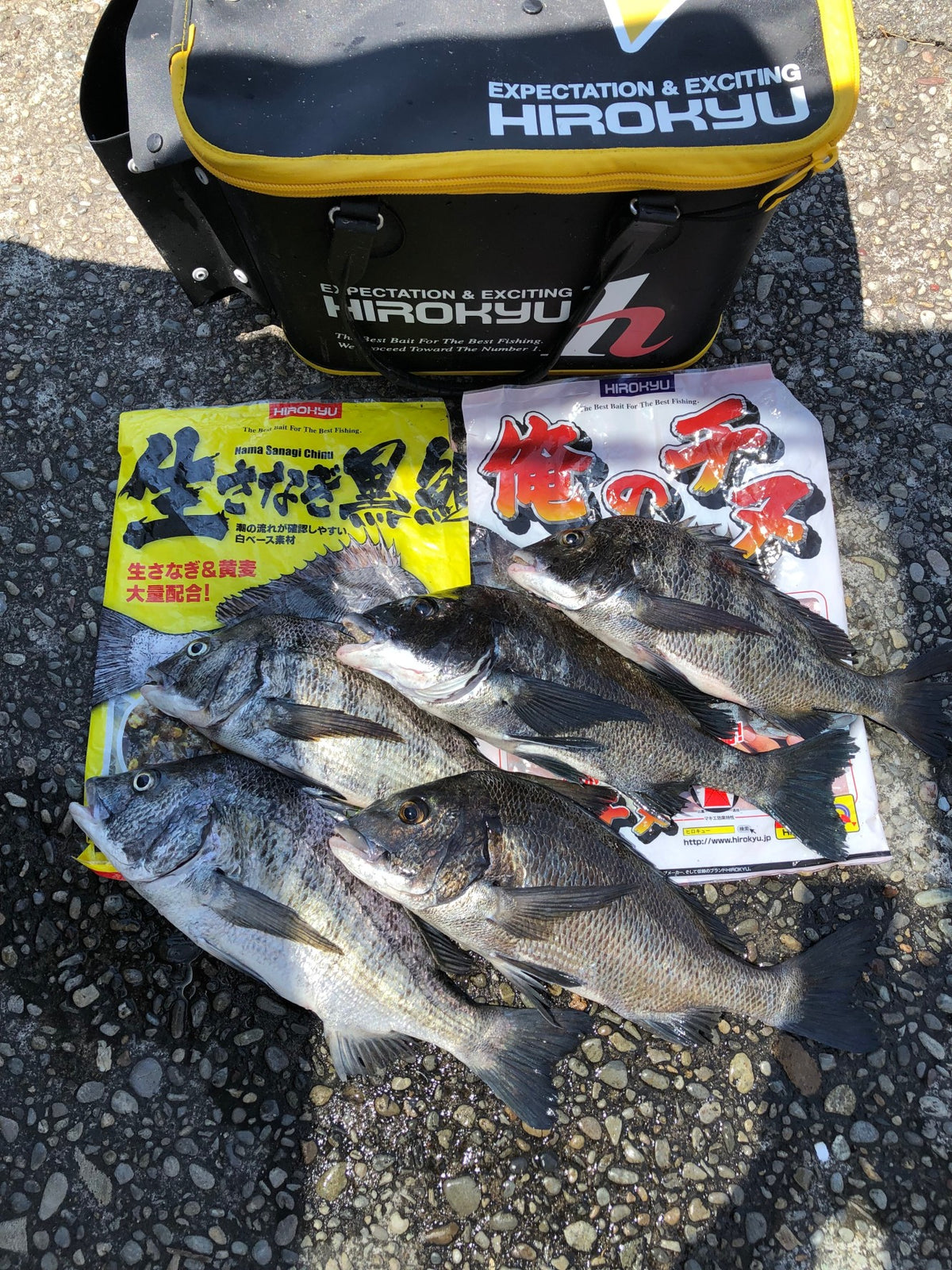 ヒロキュー商品で朝活! 秦