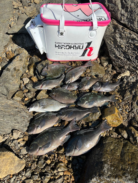 line_oa_chat_241018_130918_120