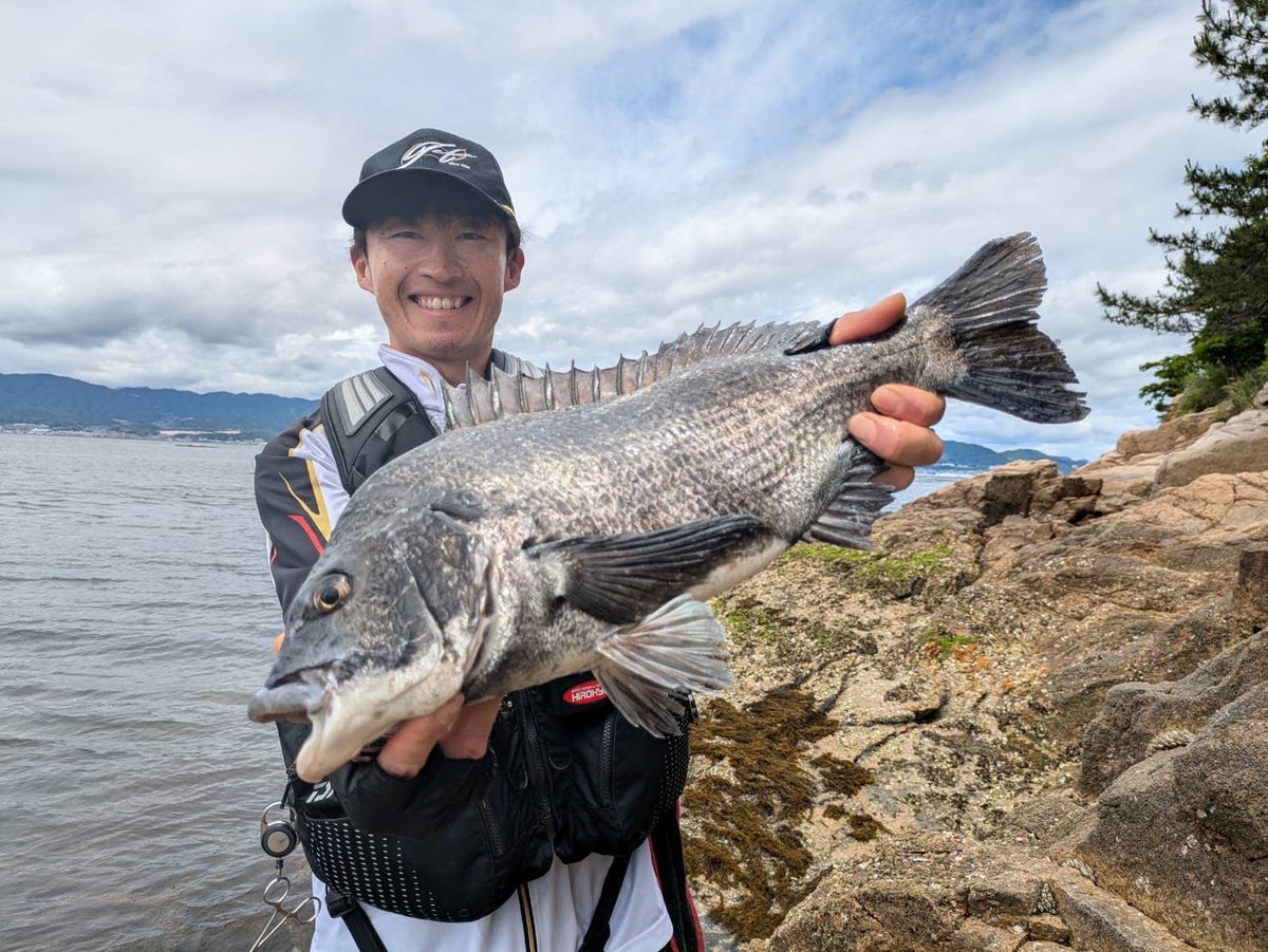 初夏の磯チヌ!好釣果に大満足! 外輪