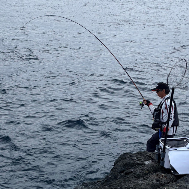 梅雨グレの走り？』 上木原 – 釣りエサの総合メーカー「ヒロキュー」