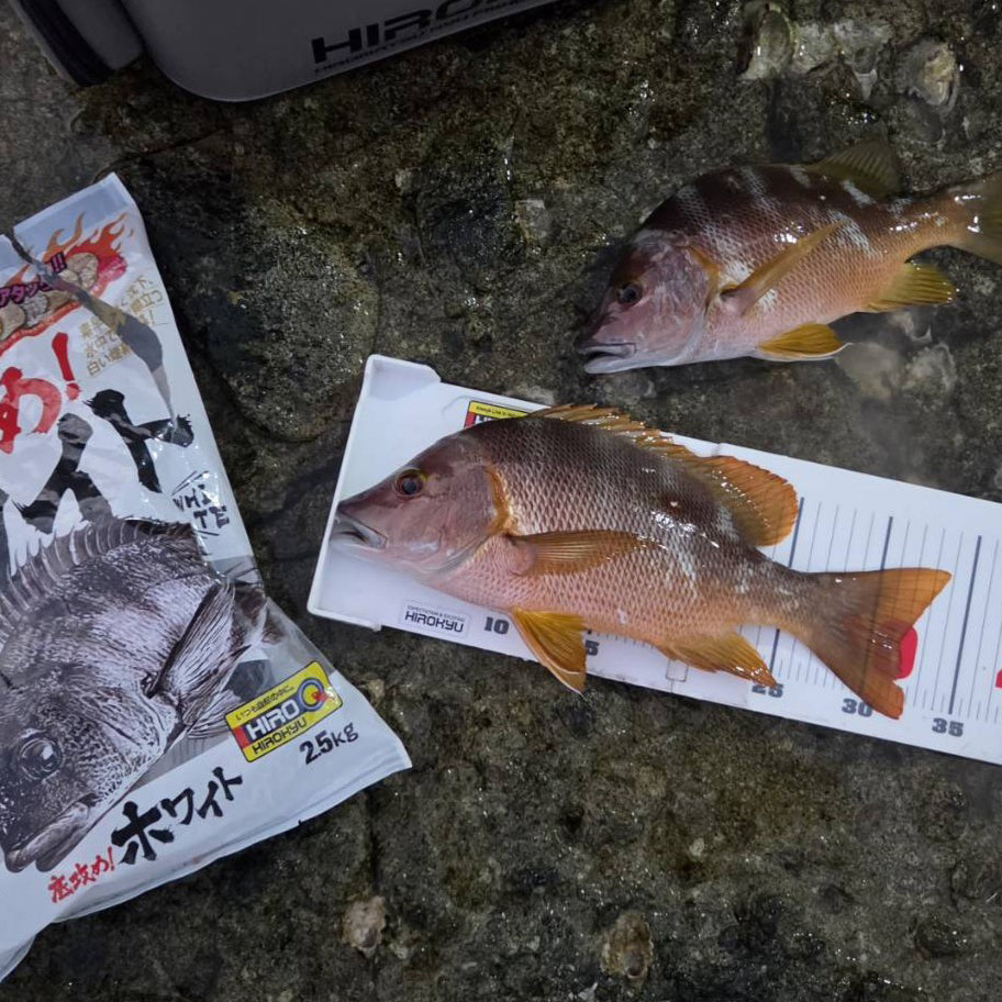 『シブダイ釣行』shun