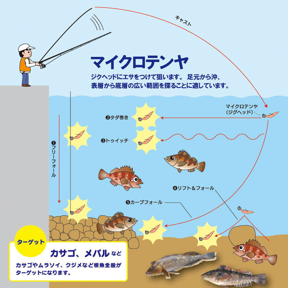 Fresh silver-stripe round herring small grain-Hirokyu, a