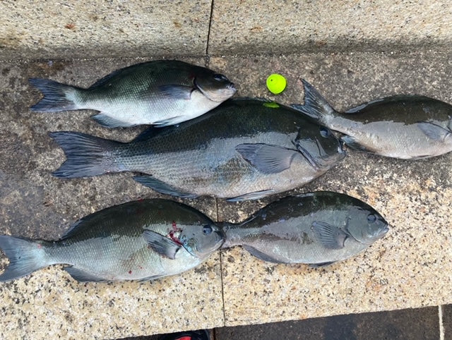 Kuro Aso in Nagashima Strait and Toshima