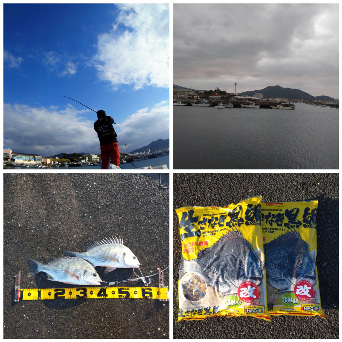 Pesca Chinu en el puerto pesquero de Makurazaki a finales de otoño ..morizo