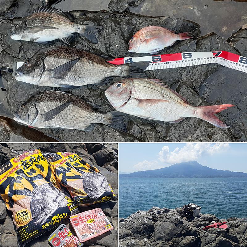 底攻めズドン”で黒鯛と真鯛！東中村隼 – 釣りエサの総合メーカー