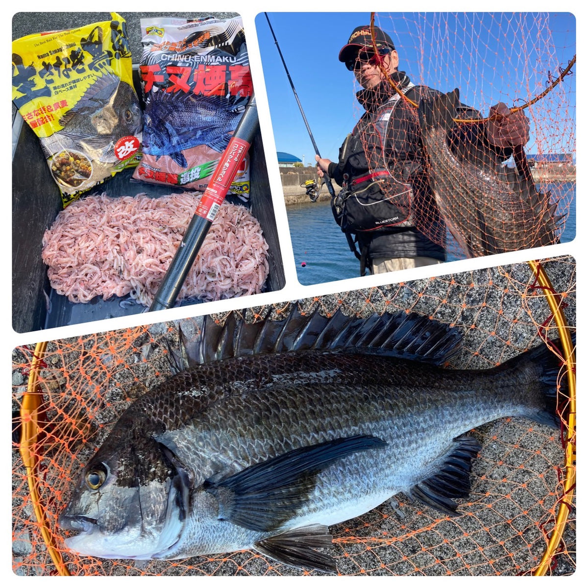 Cold sea bream?Uekihara