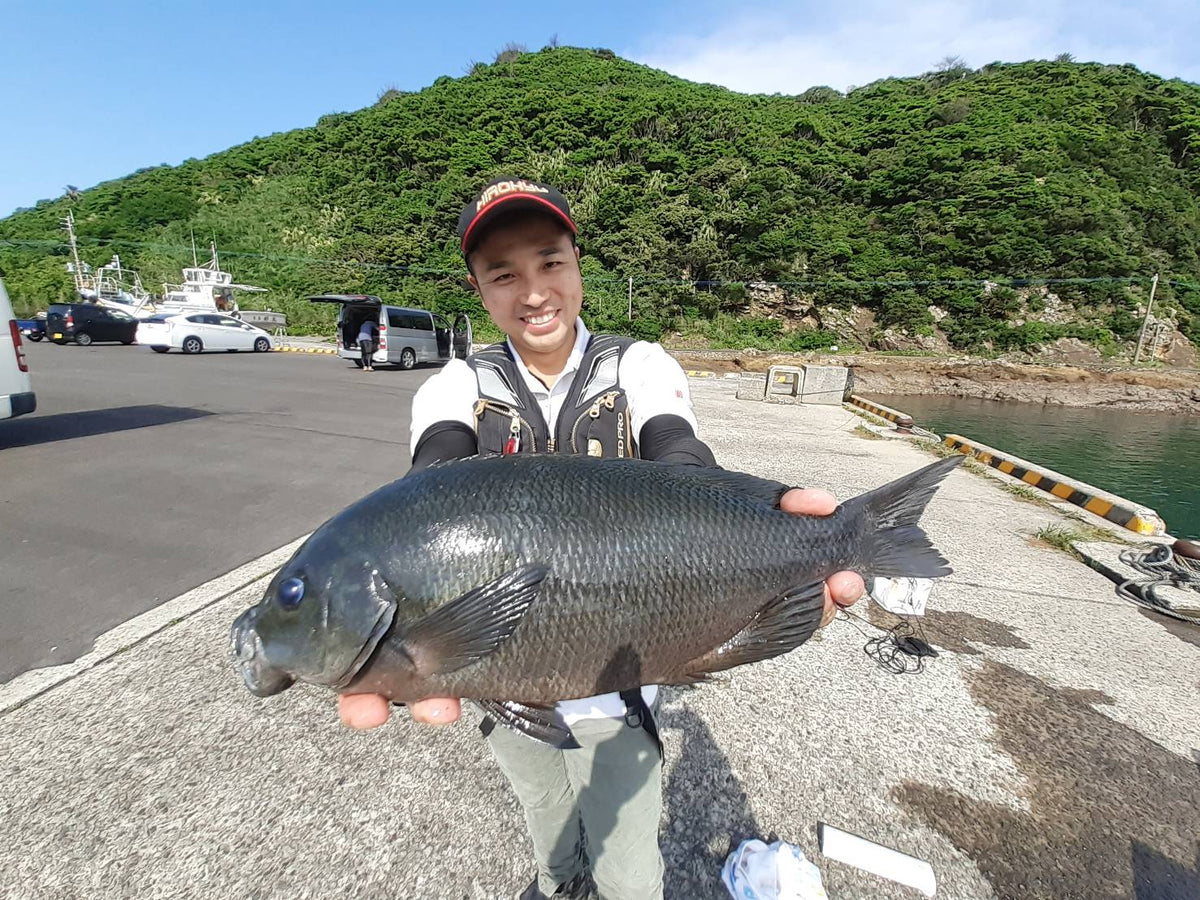 Apuntando a una gran longitud de cola al Cabo Sata Tajiri ~ shun
