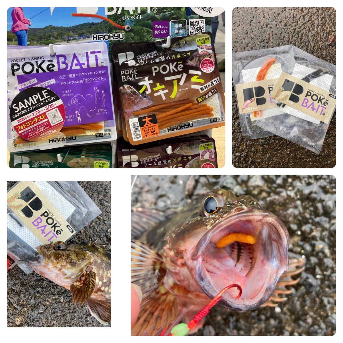 Pokebait Kamikihara