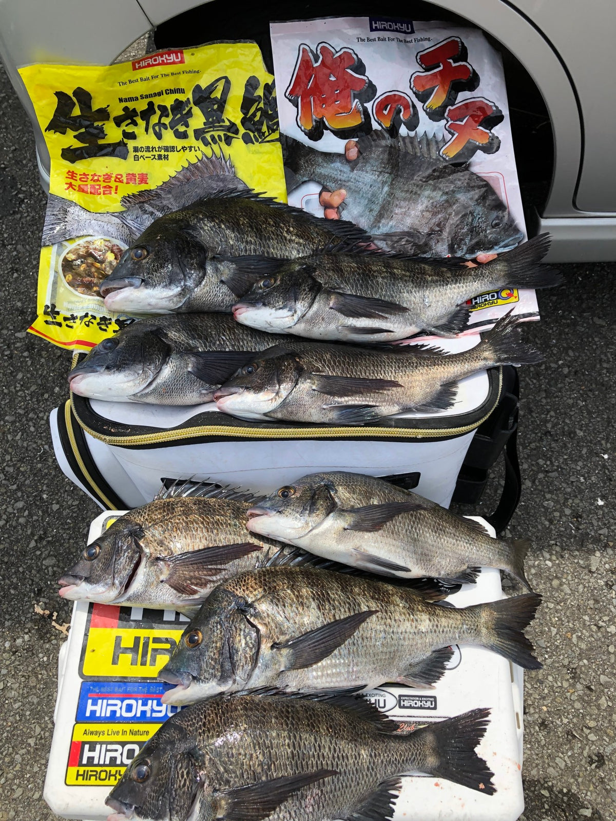 ☆Verano Chinu ☆ Hata