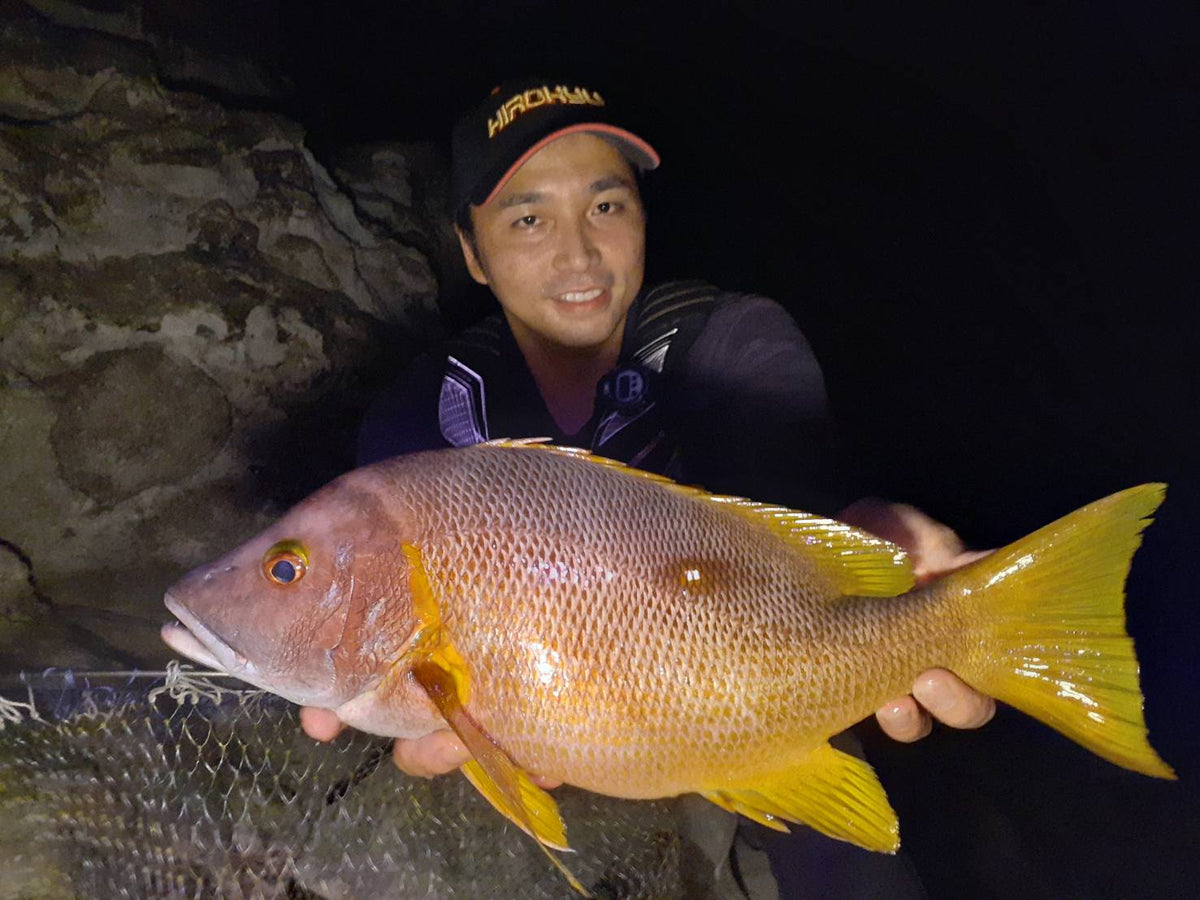 Ultra-luxury Shibudai fishing Shun