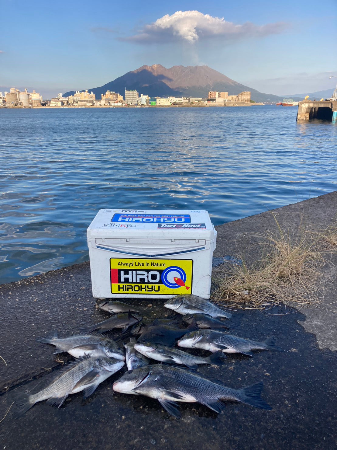 Pesca de otoño Kamikihara