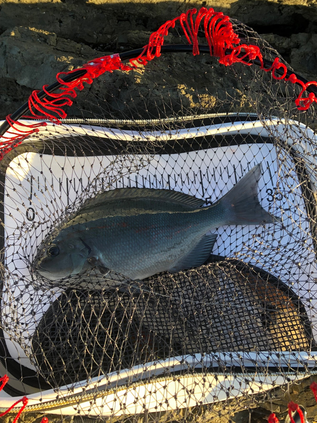 A Innan, Prefectura de Wakayama, Hata