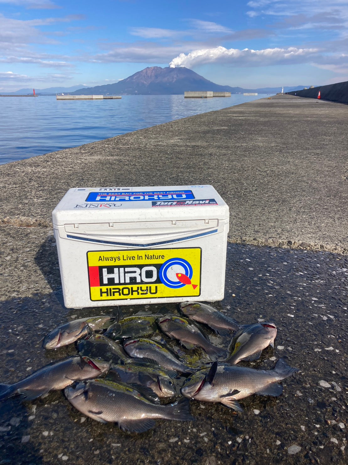 Pescando peces grises incluso en Nochebuena Kamikihara