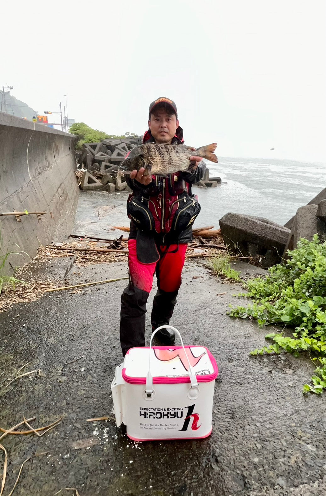 上漲40% Chinugetto Hanado – 綜合魚餌製造商“Hirokyu”