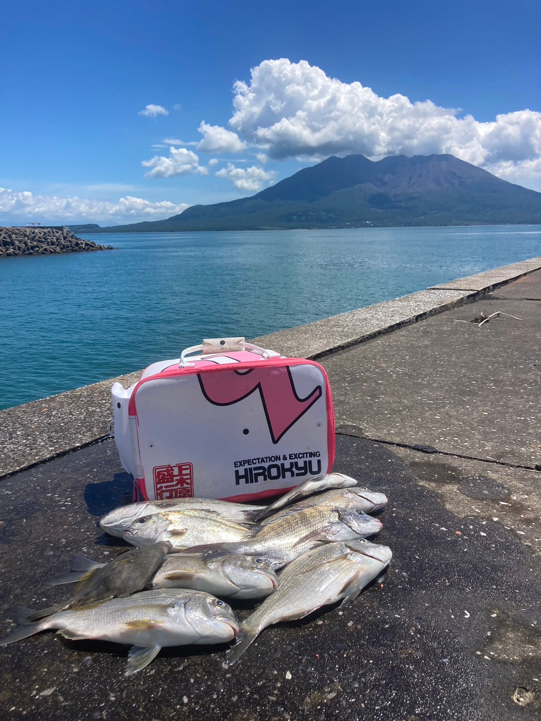 鹿児島•鴨池港でのチヌ釣り　上木原
