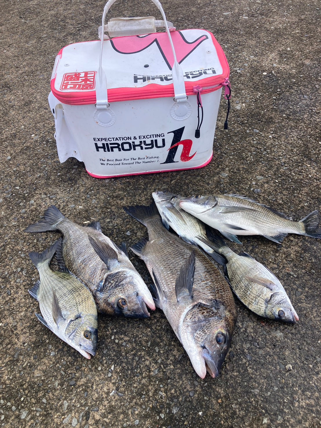 黒魂カップin錦江湾　上木原