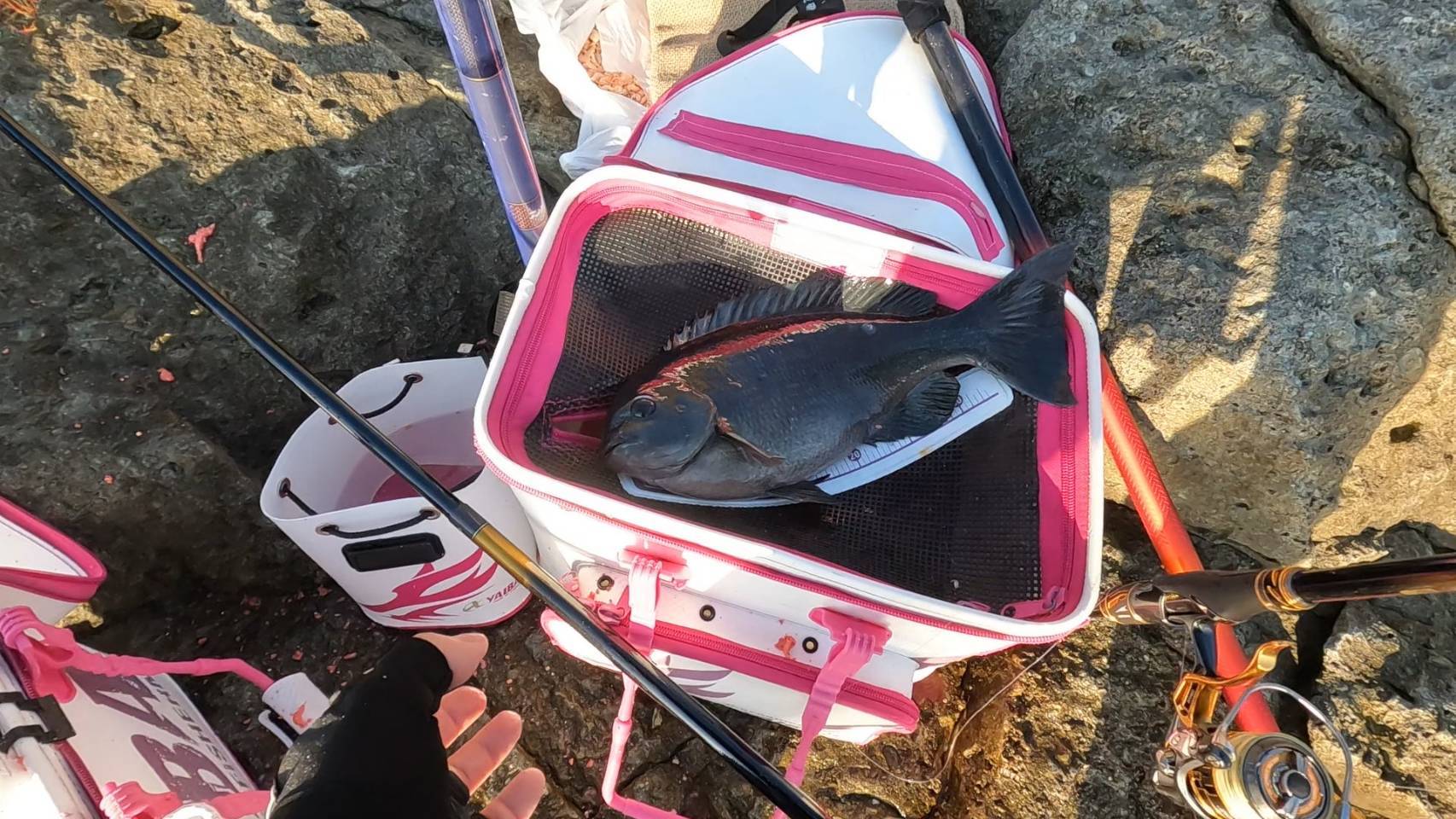 渦　ダイゴ　ゆびにんぎょう　5個 魚ギョッと釣りグミ レベルMAX ～灼熱深淵ver.～｜発売日：2025年11月