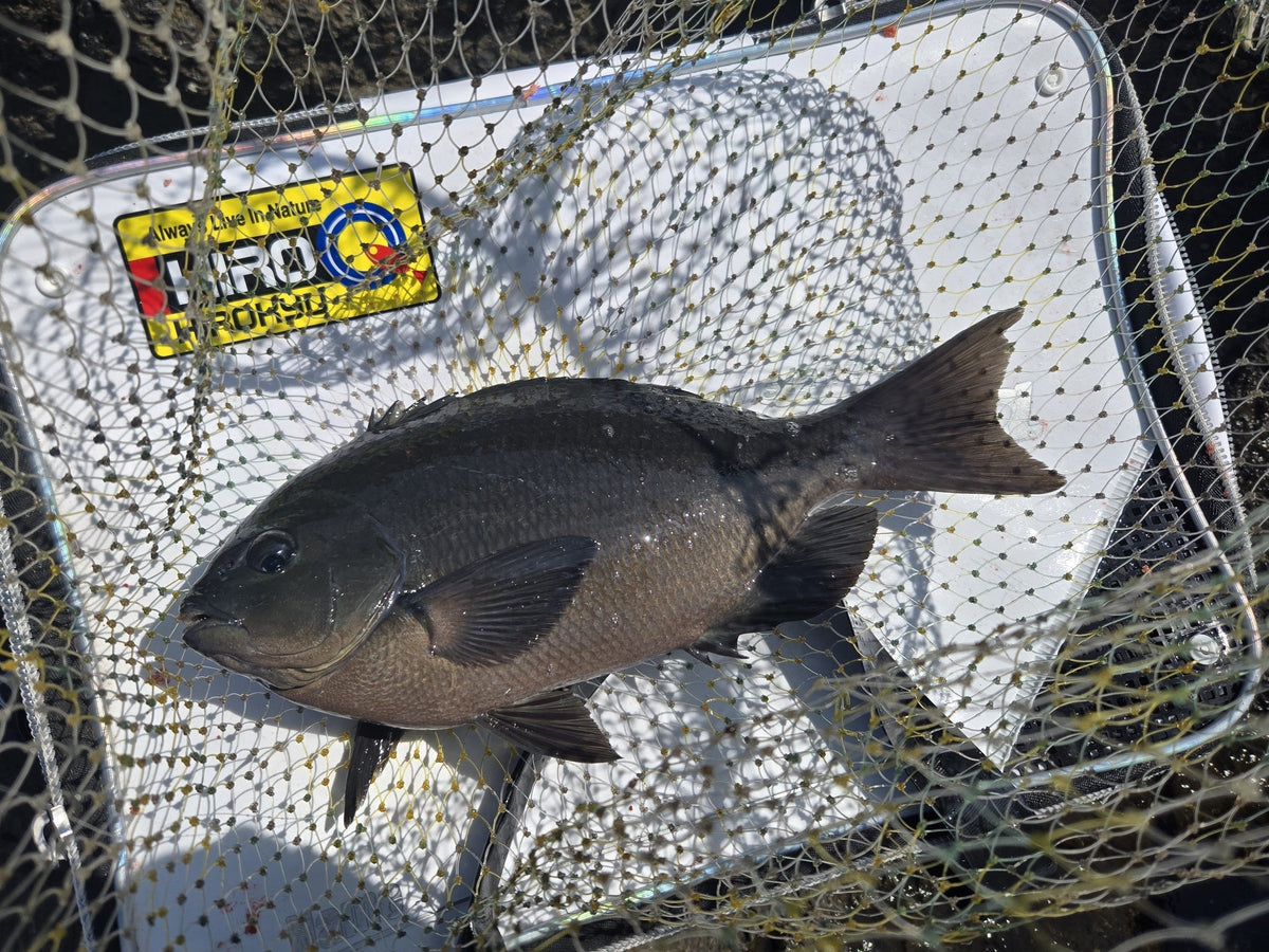 秋目釣行　shun