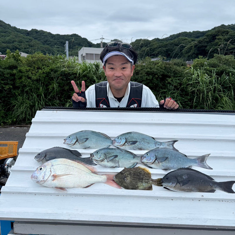 Dorada de temporada de lluvias de Shikimi Shirase Murakawa