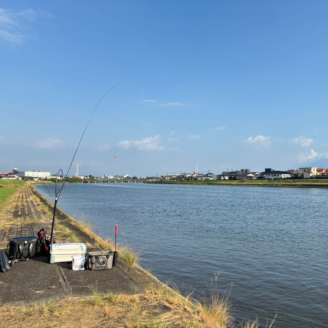 "Dorada negra de río en el río Beppu, ciudad de Aira" - Hanado
