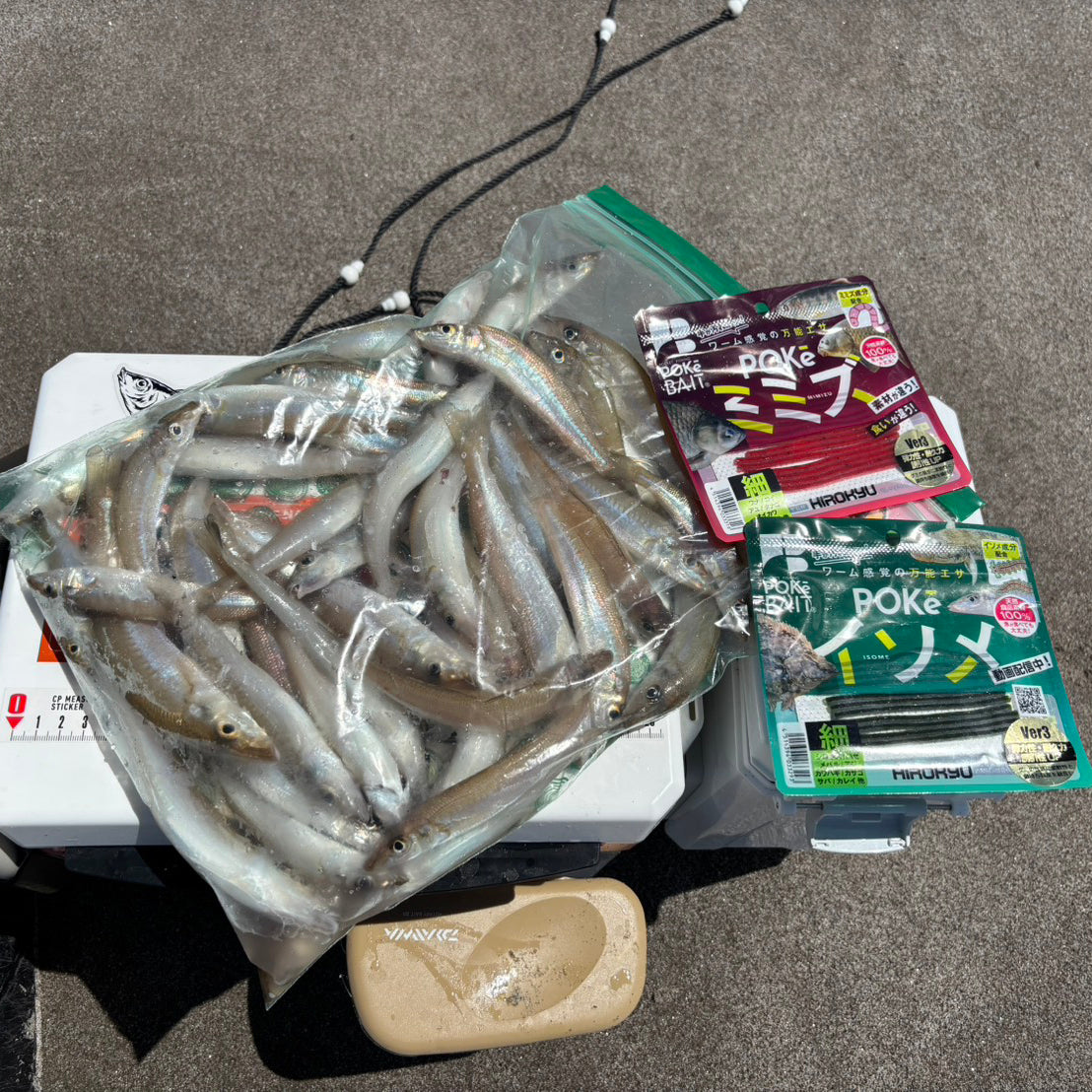 "Catching kiss fish with Pokebait at Fukiagehama Beach" - Hanado
