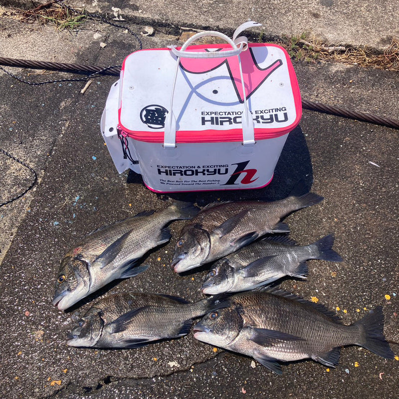 黑鯛魚狂熱測驗 Kamikihara