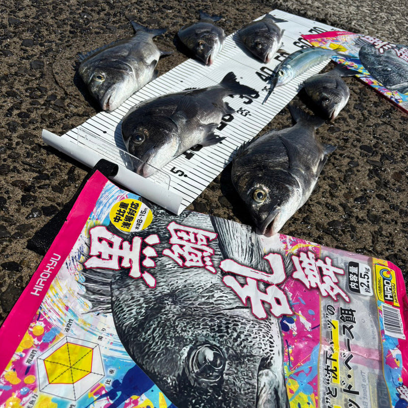 「黑鯛舞蹈測試」花戶