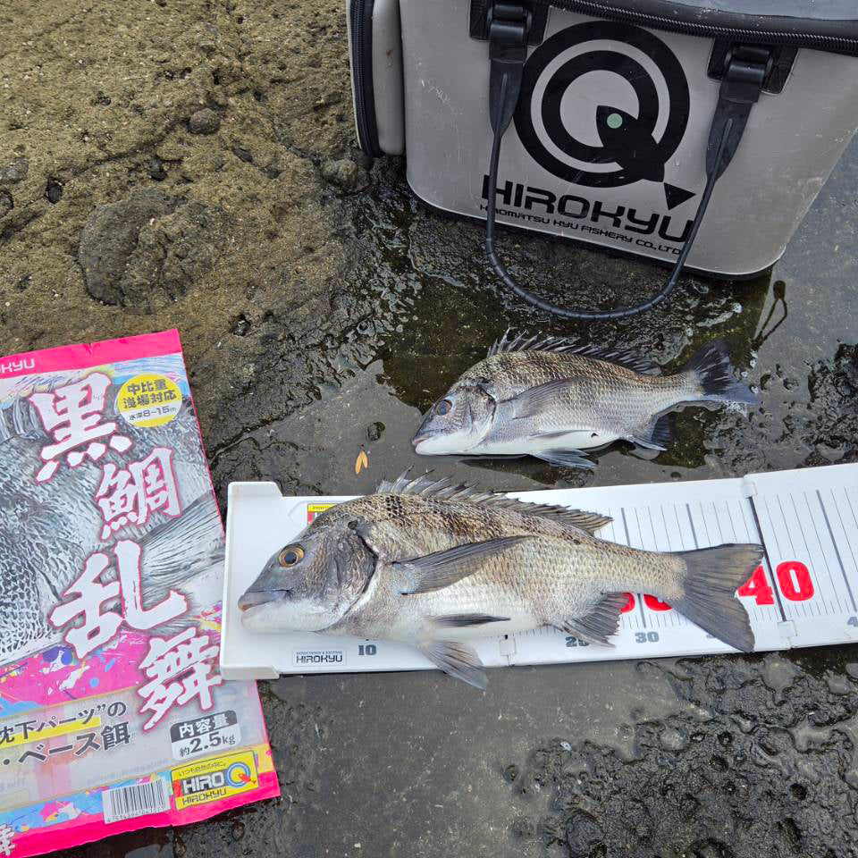 "Shallow-water black sea bream fishing" by Shun