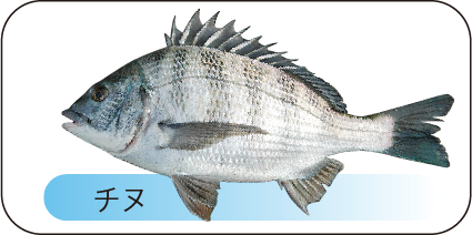 フカセ釣り 初心者 – 釣りエサの総合メーカー「ヒロキュー」