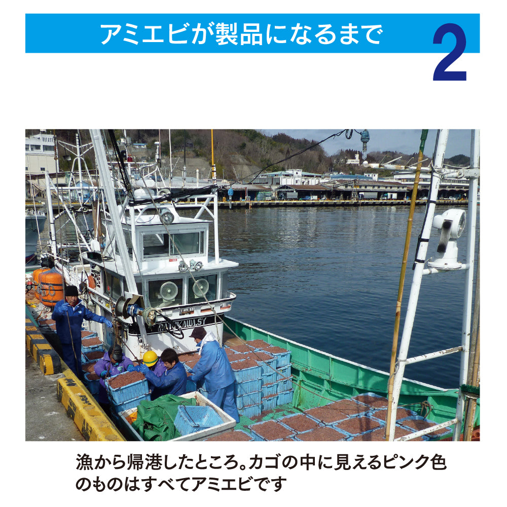 ヒロキューの特選アミ – 釣りエサの総合メーカー「ヒロキュー」