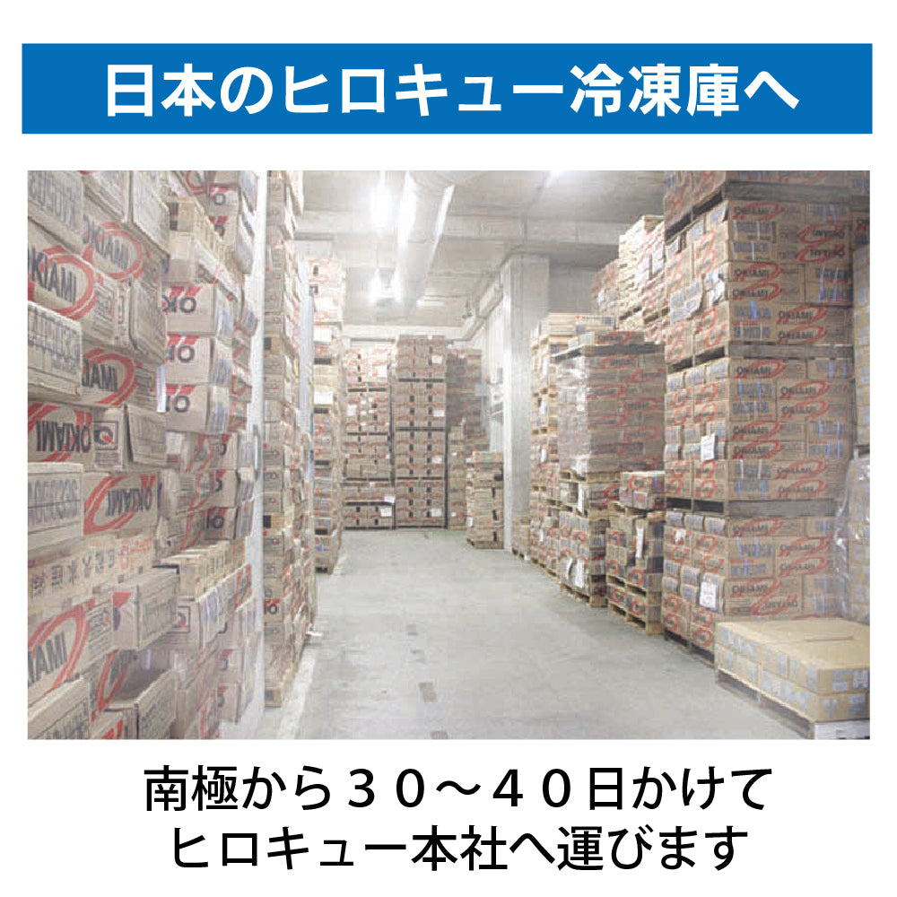 ヒロキューのオキアミ ブロック マキエ・ツケエサ兼用 – 釣りエサの