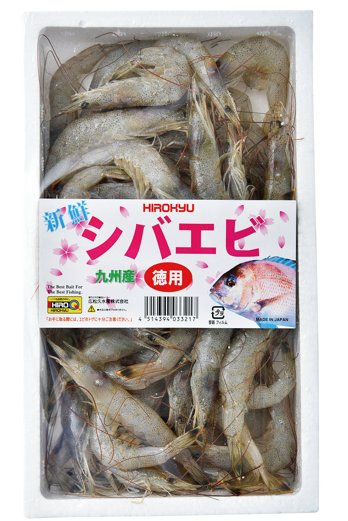 Fresh Frozen Shiba Shrimp (Economic Value) – Comprehensive fishing